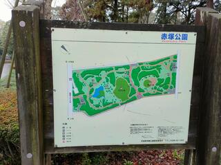 赤塚公園のクチコミ写真7