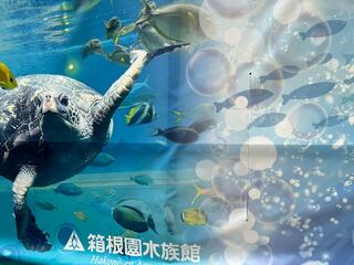 箱根園水族館のクチコミ写真4