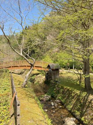 兵庫県立 ささやまの森公園のクチコミ写真1