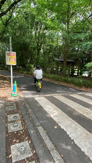 埼玉県 県民健康福祉村のクチコミ写真6