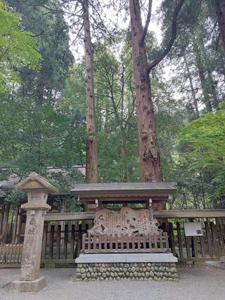 天岩戸神社のクチコミ写真3