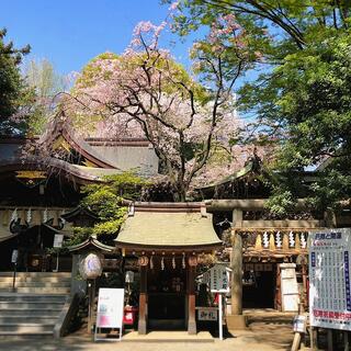 子安神社の写真29