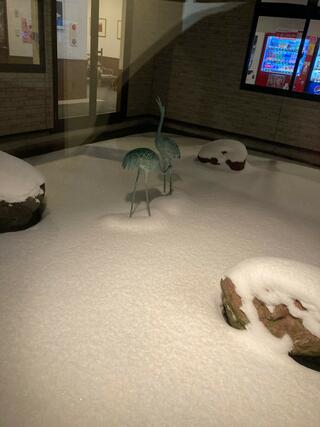 鶴の湯温泉のクチコミ写真1