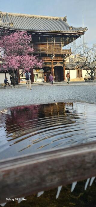 興正寺のクチコミ写真1