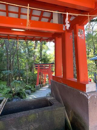 金澤神社のクチコミ写真5