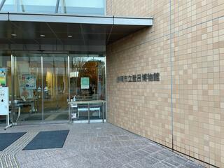 静岡市立登呂博物館のクチコミ写真1