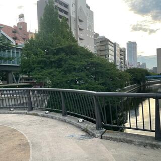 なかめ公園橋の写真17