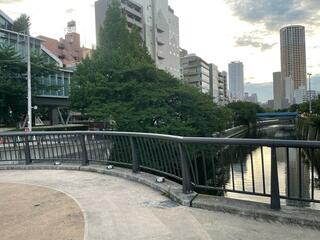 なかめ公園橋のクチコミ写真4