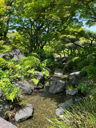 大仙公園日本庭園のクチコミ写真5