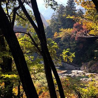 秋川渓谷の写真17
