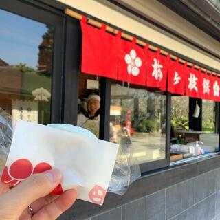 松島茶店の写真21