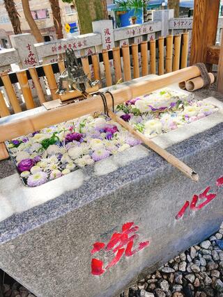 氷川神社のクチコミ写真3