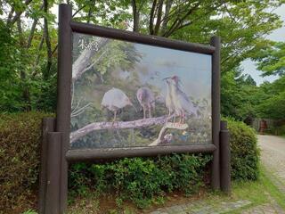 佐渡市トキの森公園のクチコミ写真1