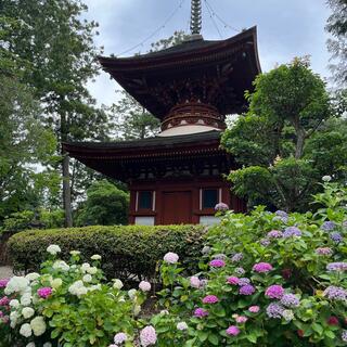 久米寺の写真19