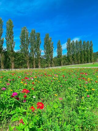 滋賀農業公園ブルーメの丘のクチコミ写真3
