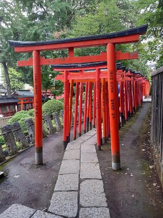 根津神社のクチコミ写真3