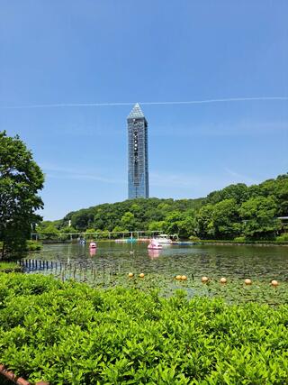 東山スカイタワーのクチコミ写真5