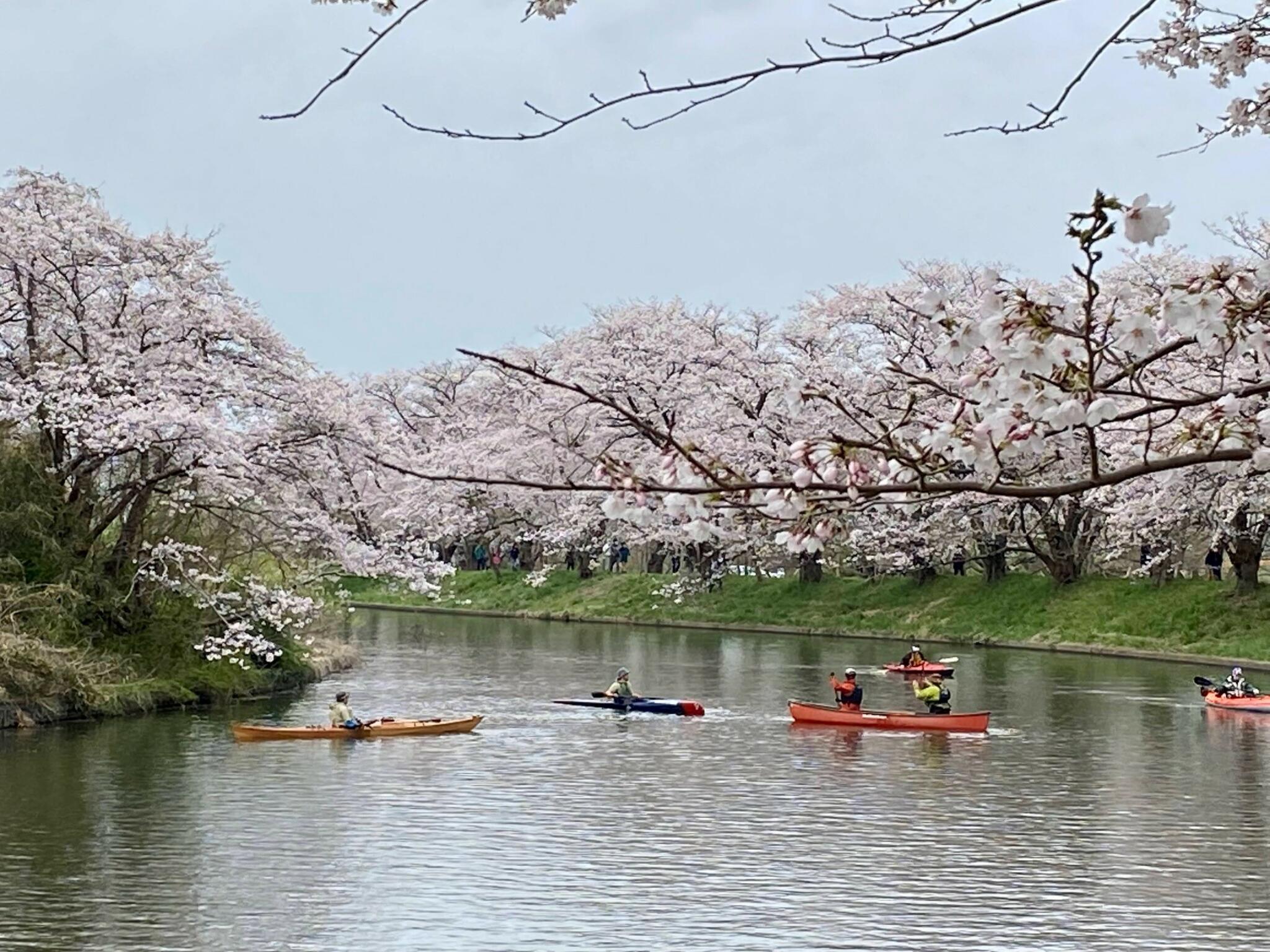 福岡堰の代表写真4