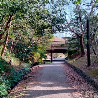 茅ヶ崎公園の写真25