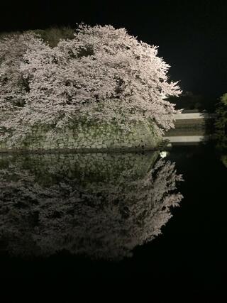 近江ダイニング 橘菖のクチコミ写真2