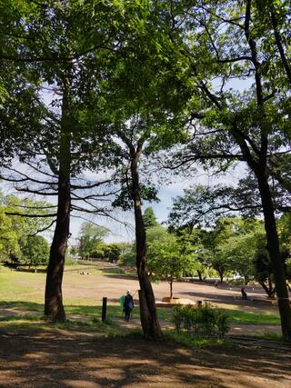 鶴間公園のクチコミ写真4