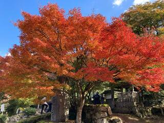 高源寺のクチコミ写真3