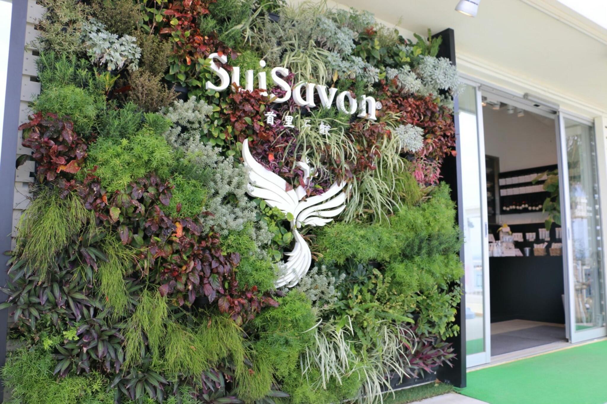 クチコミ : SuiSavon 当蔵ギャラリーショップ本店 - 那覇市首里当蔵町/化粧品店 | Yahoo!マップ