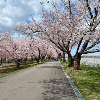 戸田記念墓地公園の写真7