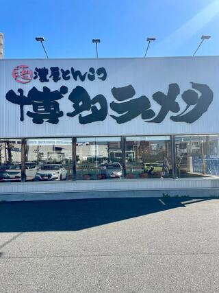博多ラーメン鶴亀堂 安城店のクチコミ写真4