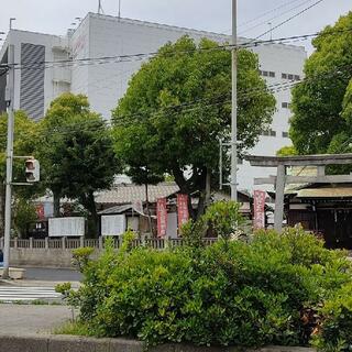 柳原蛭子神社の写真24