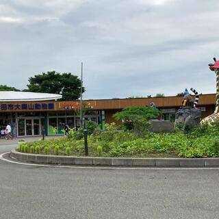 秋田市大森山動物園の写真19