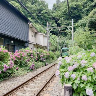 御霊神社のクチコミ写真2