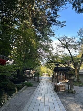 石山寺のクチコミ写真5