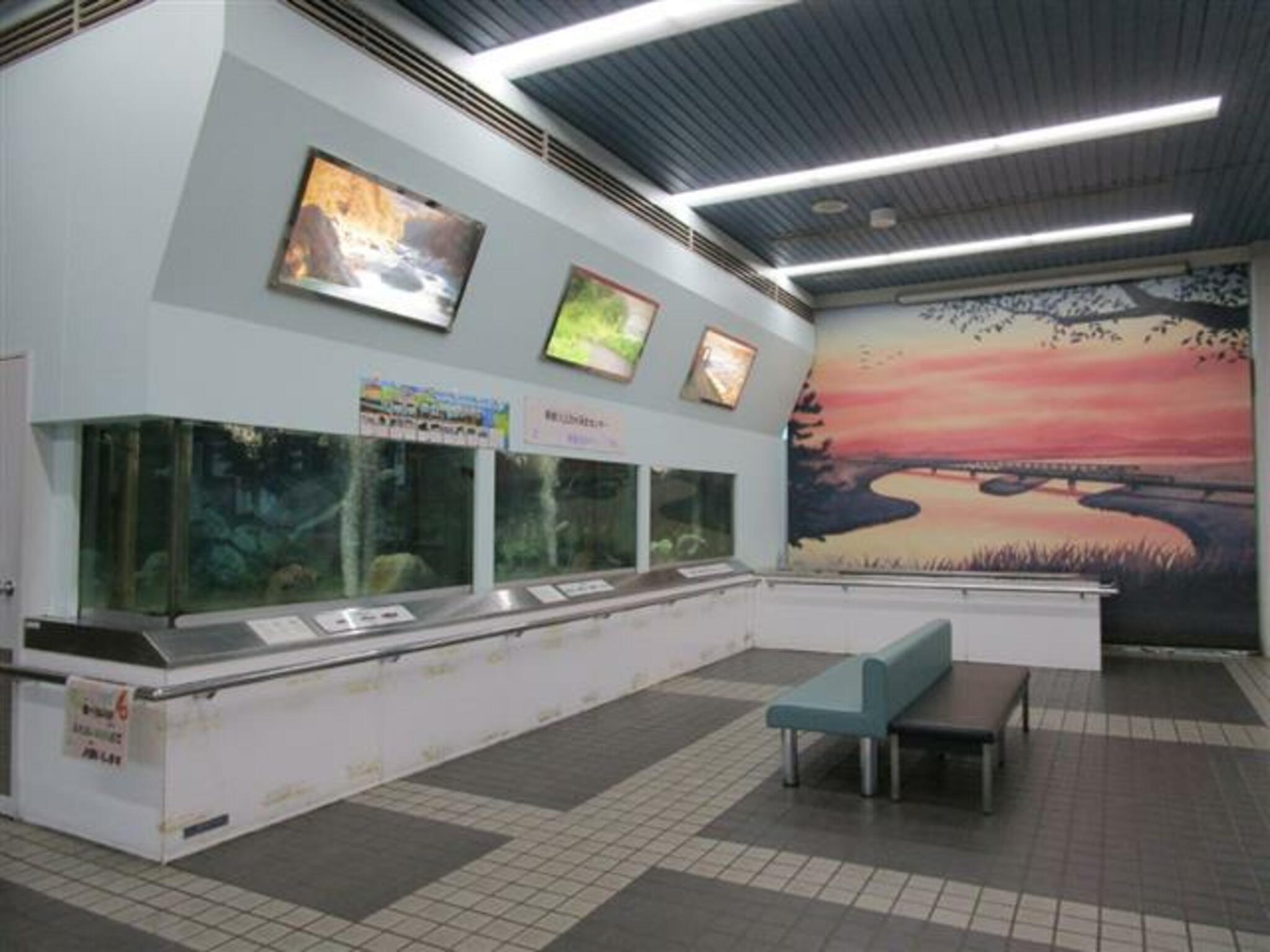 多摩川ふれあい水族館の代表写真10