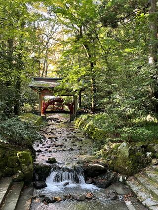 越後一宮 彌彦神社のクチコミ写真5