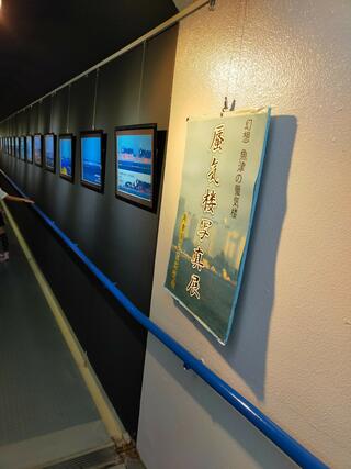 魚津埋没林博物館のクチコミ写真1