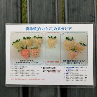 軽井沢ガーデンファーム いちご園のクチコミ写真8