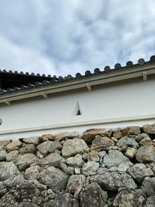 高知城のクチコミ写真7