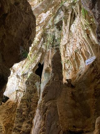 飛騨大鍾乳洞のクチコミ写真9