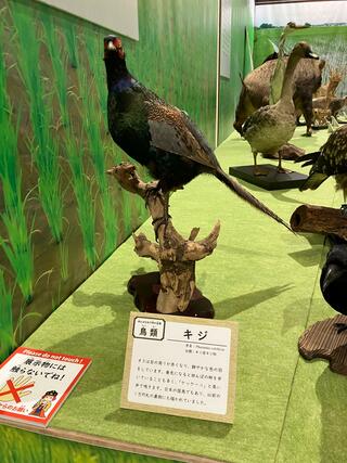 滋賀県立琵琶湖博物館のクチコミ写真1