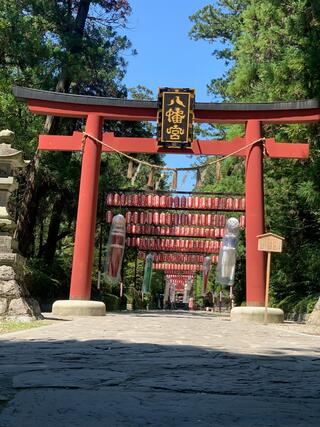 大崎八幡宮のクチコミ写真1