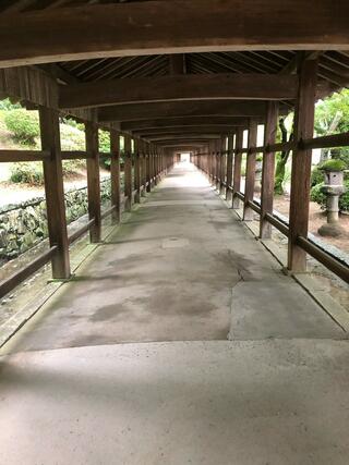 吉備津神社のクチコミ写真6