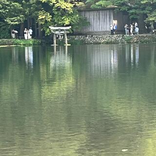 天祖神社の写真19