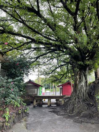 黒神埋没鳥居のクチコミ写真2