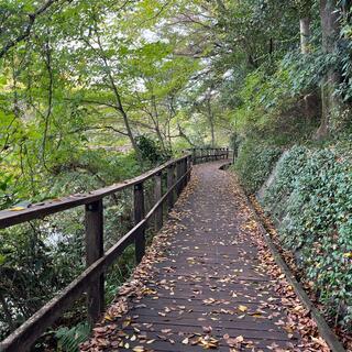 石神井公園の写真25