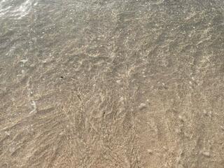 ぎのわんトロピカルビーチのクチコミ写真3