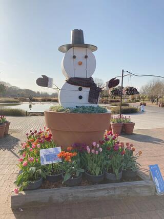 国営木曽三川公園フラワーパーク江南のクチコミ写真2