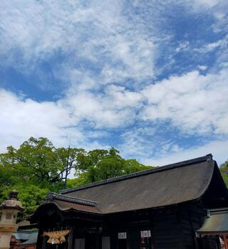 大山祇神社のクチコミ写真4