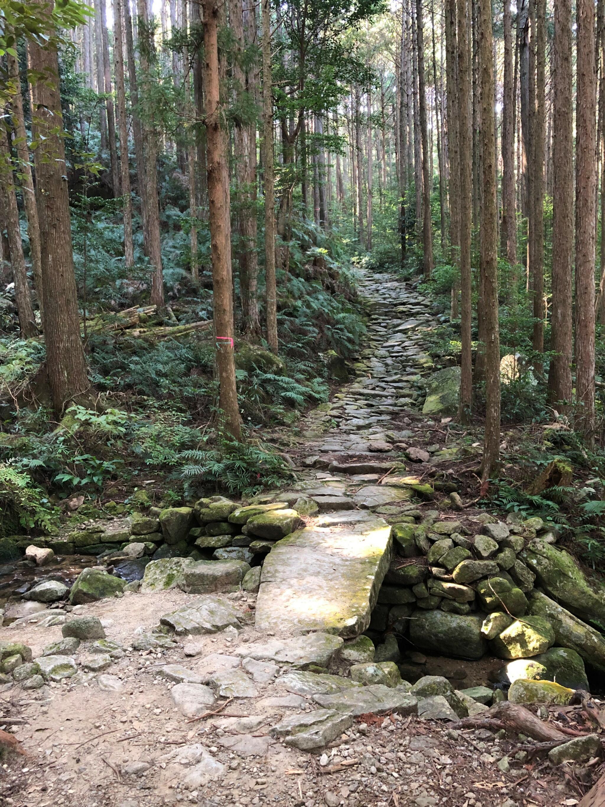 馬越峠の代表写真6