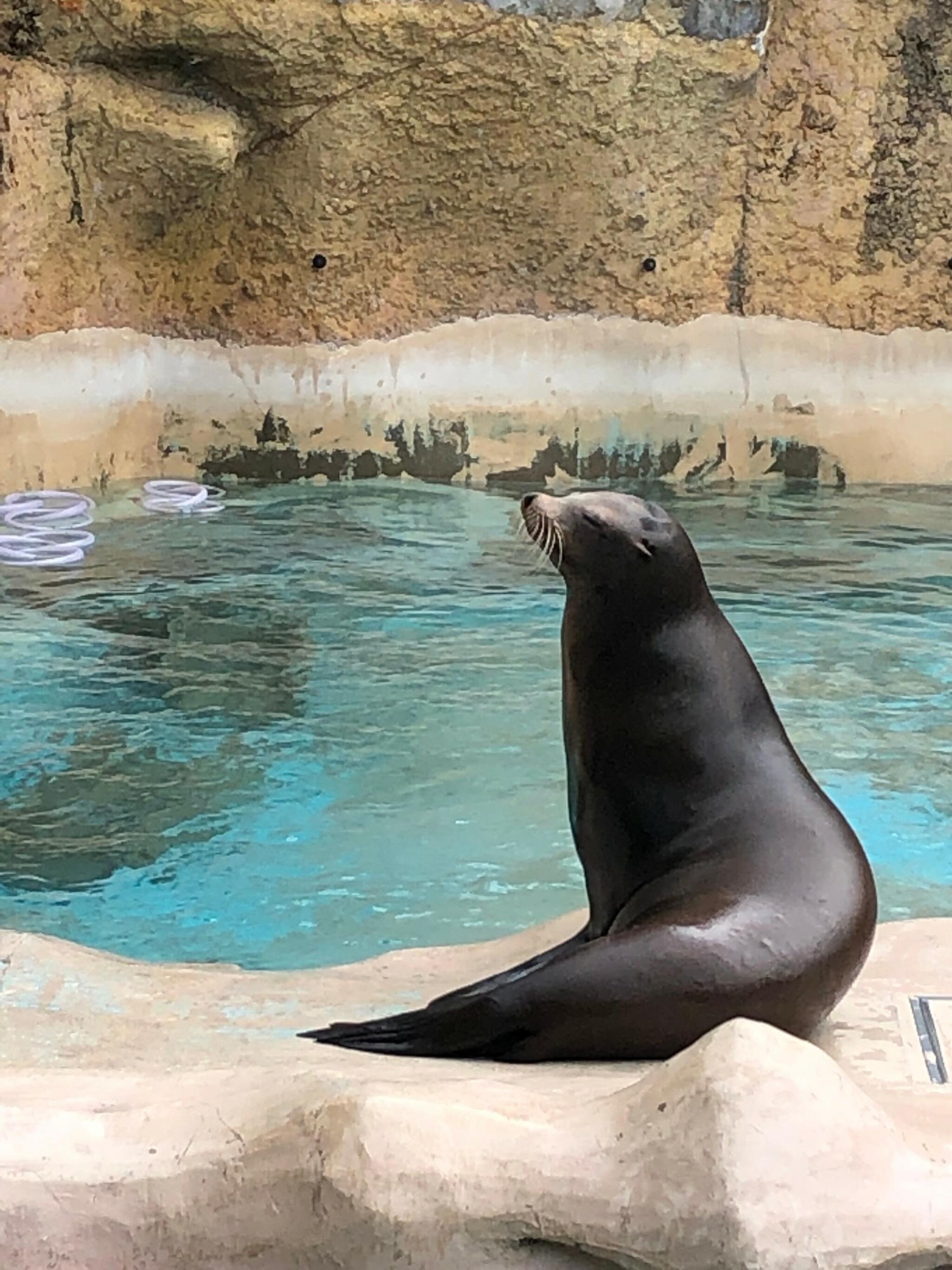 高知県立のいち動物園の代表写真6